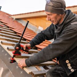 Bessey jednoručna stega s rotirajućom ručkom EZ360