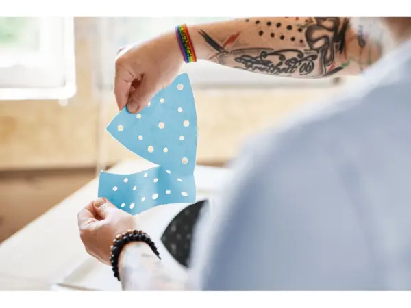 Festool se dtsc200 577713